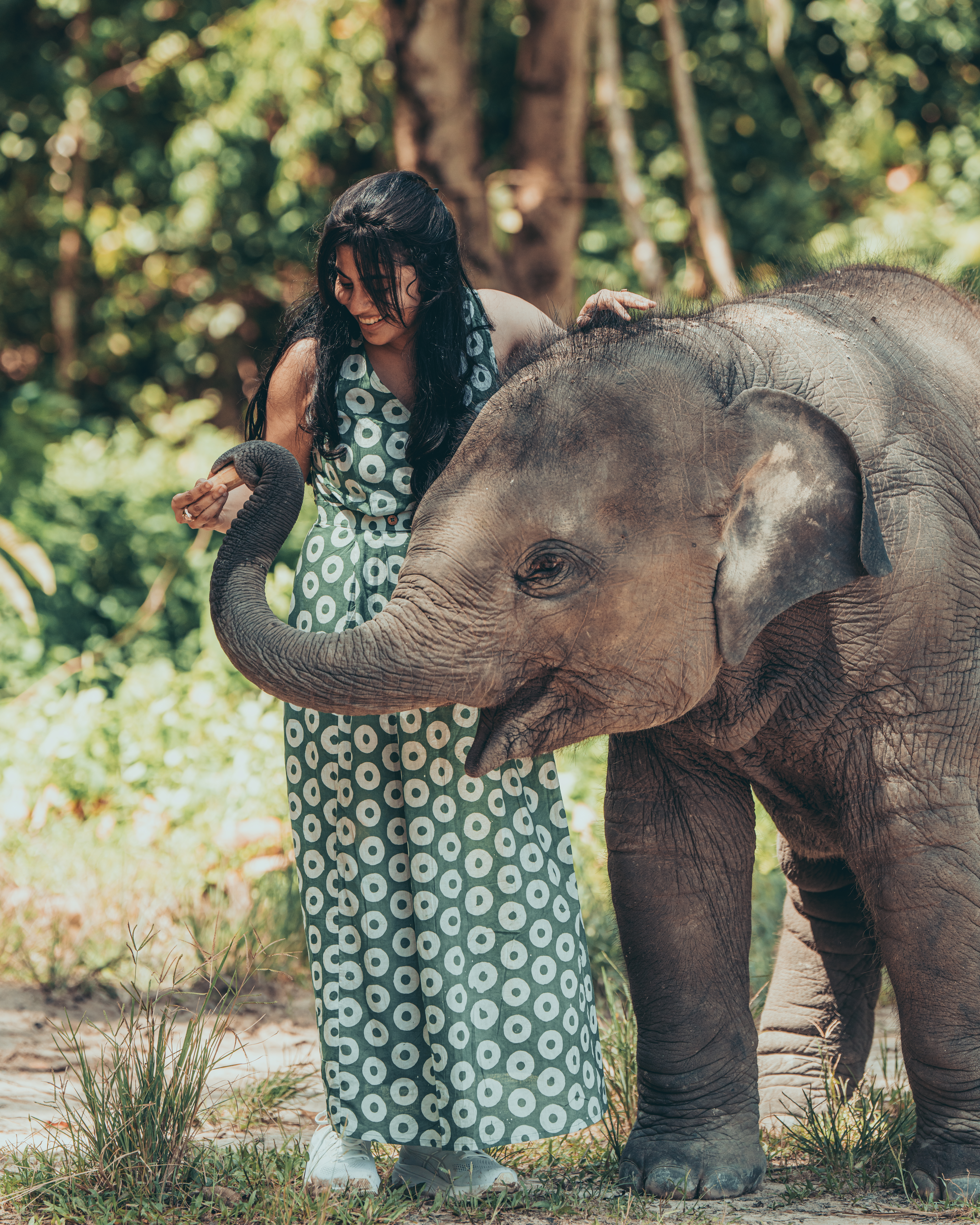 Baby meeting an elephant at Chai Lai Orchid Sanctuary